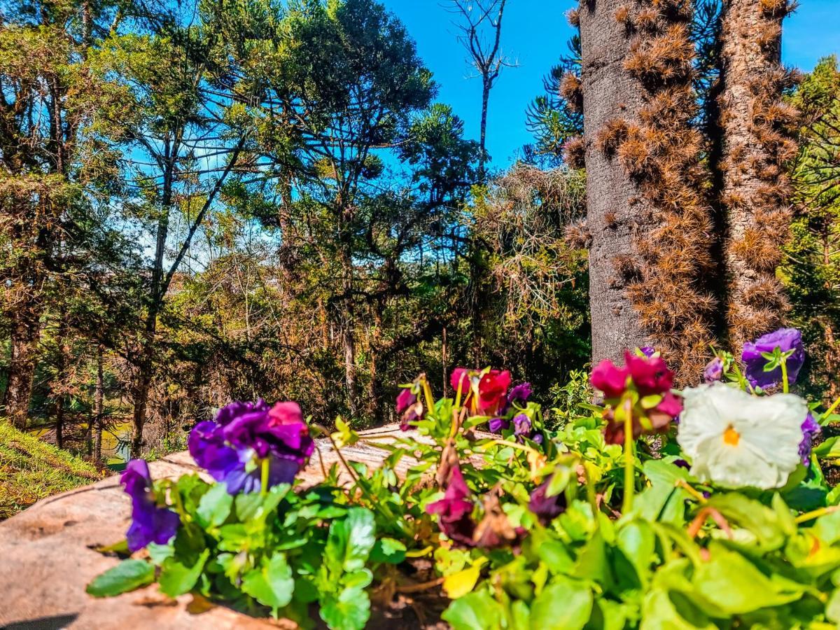 Hotel Fazenda Golden Park 3*